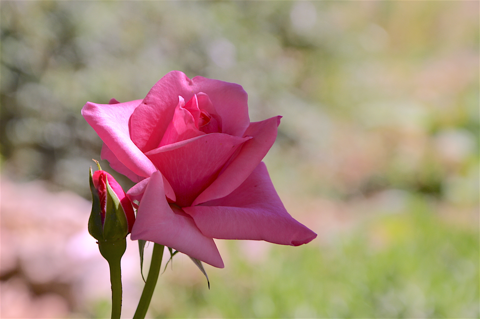 Harvest for Your Soul - Easter Retreat on Crete
