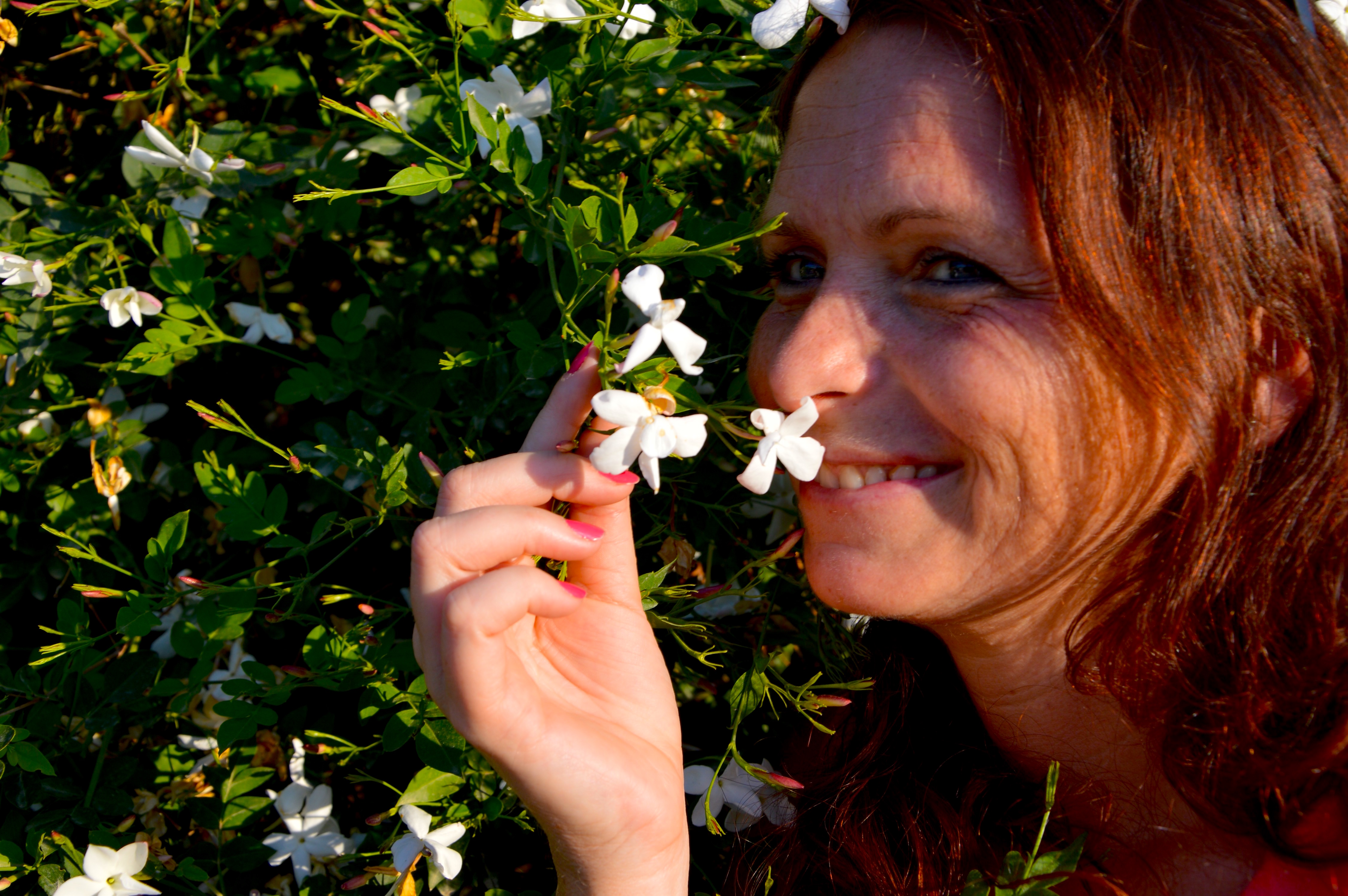Red Tent - The Aromatic Journey