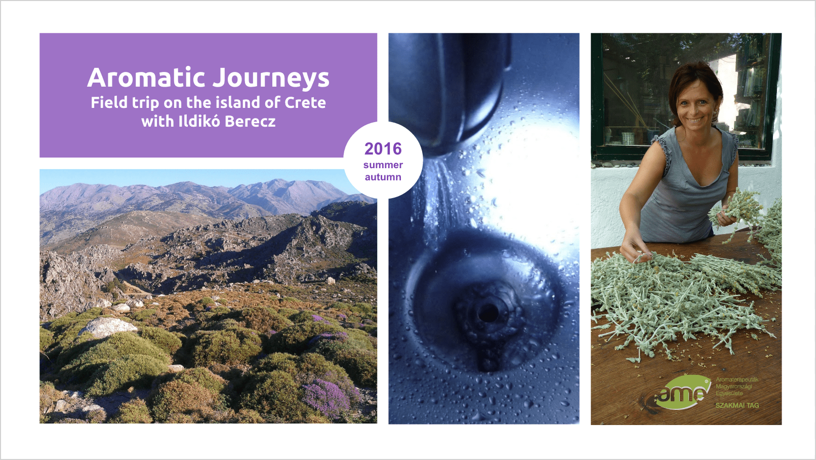 Aromatic Journeys on the island of Crete
