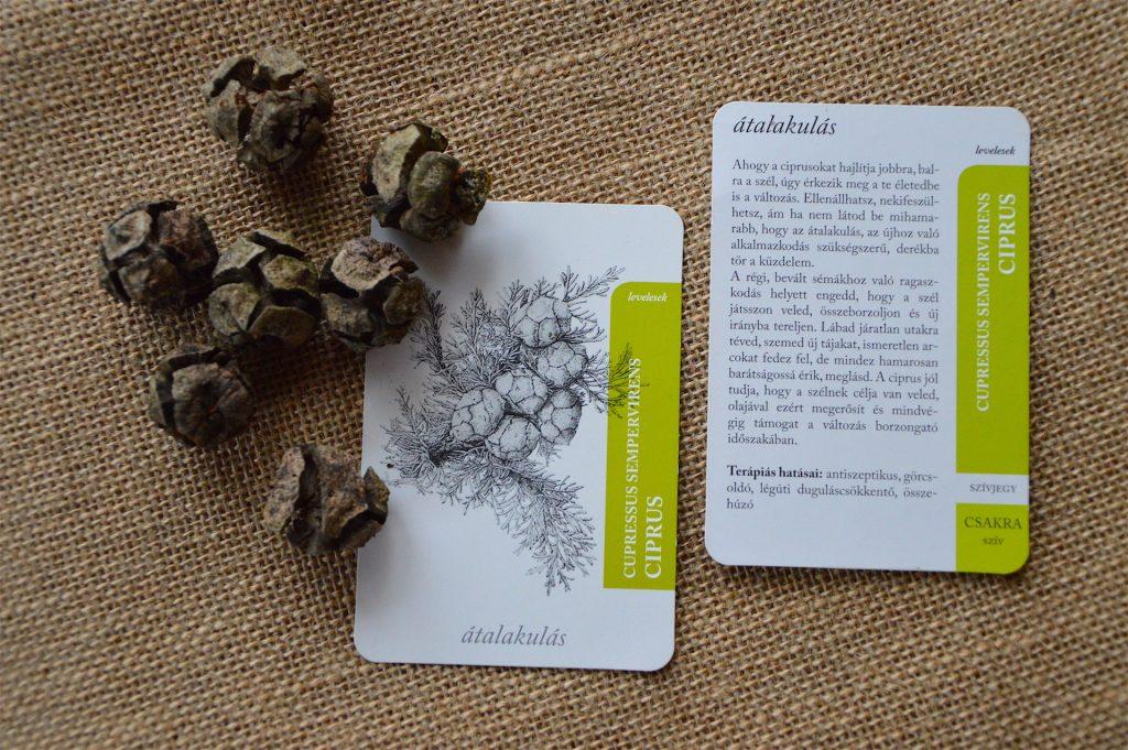 Personal Scent Card series from Aroma Botanica