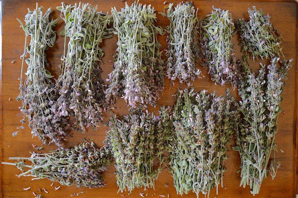 Greek sage in matching batches