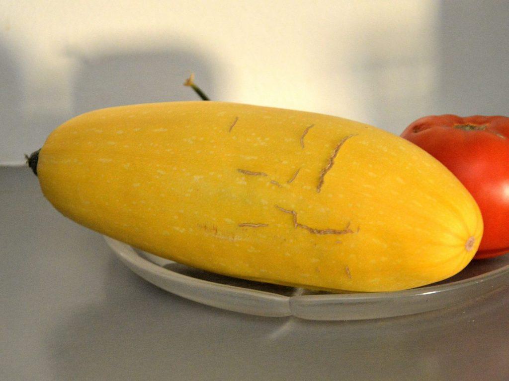 Squash from my garden ready to cook