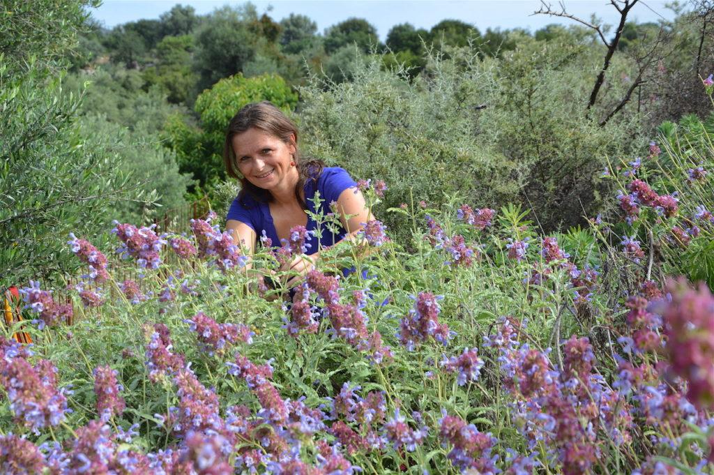 Ildiko in the wise company of Greek sage (S. pomifera), June 2017