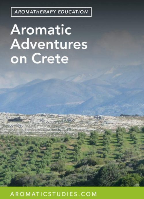 aromatic-studies-aromatic-journey-on-crete-545x768_1.jpg
